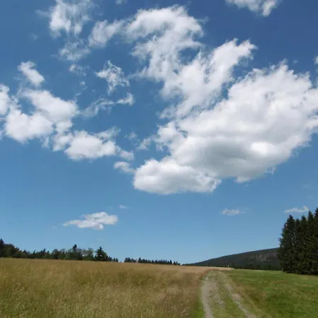 Ferienwohnung Waldblick Appartement *