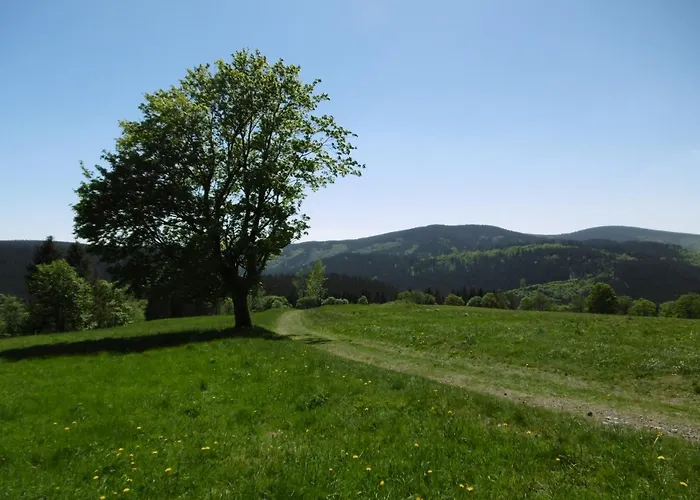 Апартаменты Ferienwohnung Waldblick Браунлаге