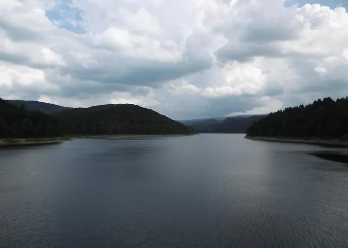 Апартаменты Ferienwohnung Waldblick Браунлаге